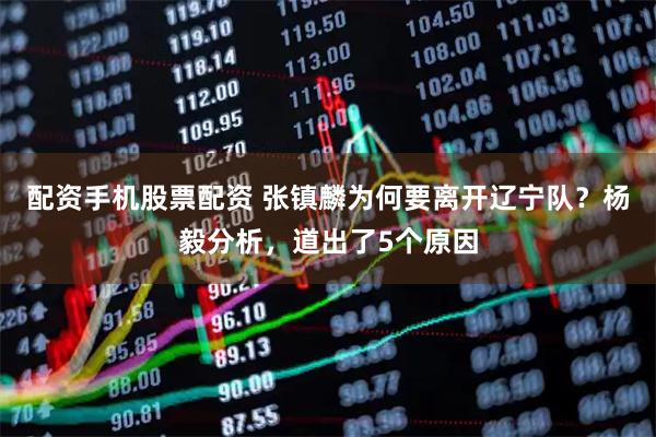 配资手机股票配资 张镇麟为何要离开辽宁队？杨毅分析，道出了5个原因