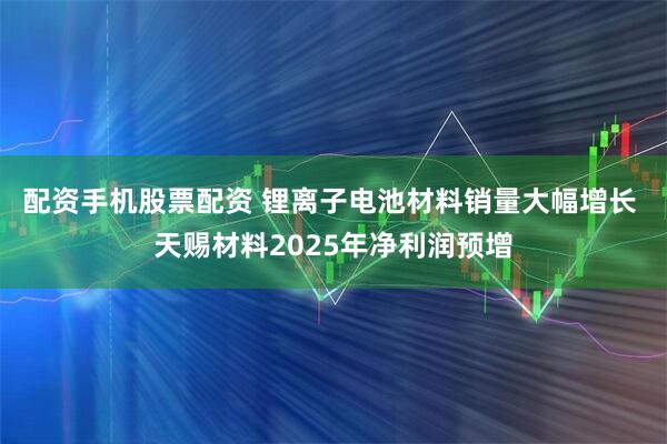配资手机股票配资 锂离子电池材料销量大幅增长 天赐材料2025年净利润预增