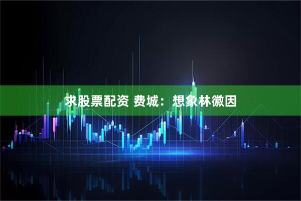 求股票配资 费城：想象林徽因