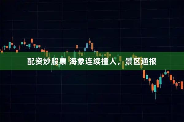 配资炒股票 海象连续撞人，景区通报