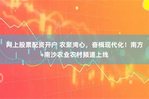 网上股票配资开户 农聚湾心，奋楫现代化！南方+南沙农业农村频道上线